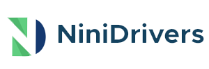 Nini Executive Drivers and Services LTD